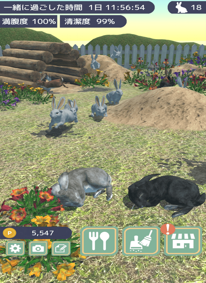 うさぎといっしょ - 癒しの動物育成ゲームの画面