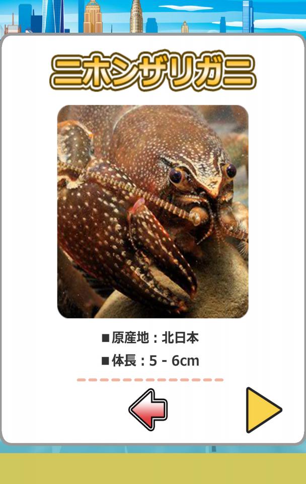 ザリガニ釣りの画面