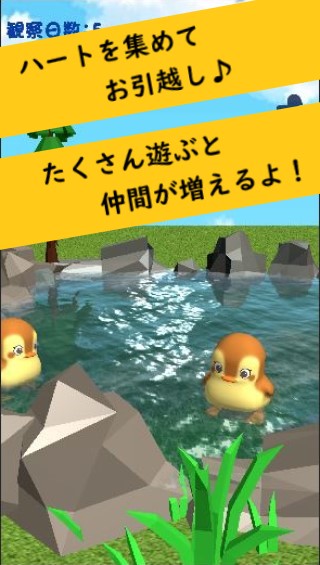 かもさんぽ 癒しの動物観察ゲーム(育成シミュレーション)の画面