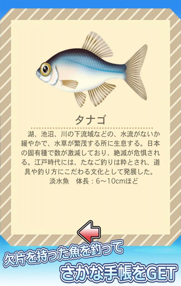 釣りペンギン+の画面