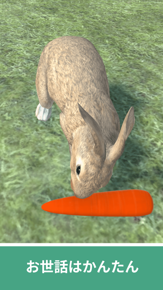うさぎセラピー – ペット育成ゲームの画面